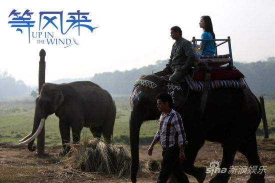 《等风来》倪妮骑尼泊尔大象感受异域风光