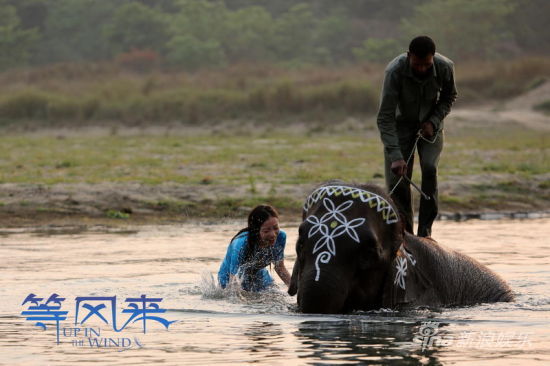 《等风来》倪妮与尼泊尔大象水中嬉戏