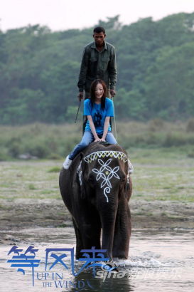 倪妮《等风来》释放女孩天性骑大象很开心