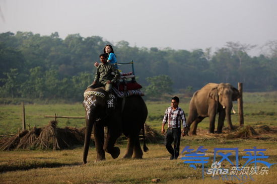 倪妮《等风来》骑尼泊尔大象感受异域风光