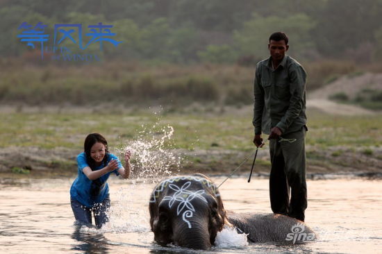 倪妮《等风来》与尼泊尔大象水中嬉戏很欢乐