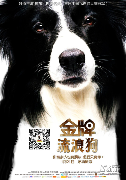 《金牌流浪狗》发布先导版海报 1月21日不再流浪(图1)
