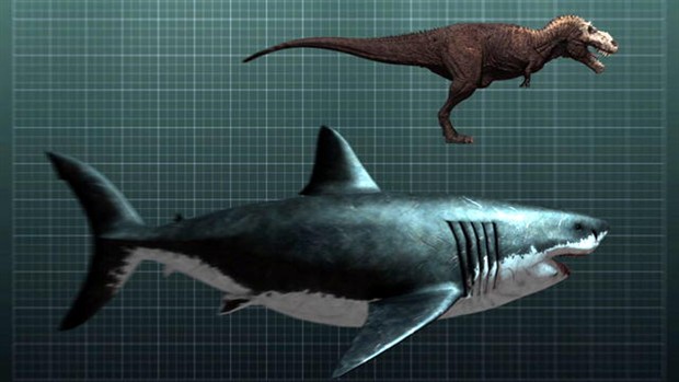 伊莱罗斯或执导新作《巨齿鲨》 套路类似《大白鲨》(图1)