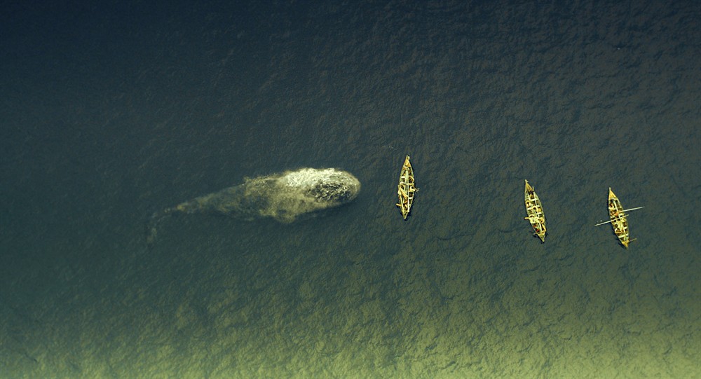 《海洋深处》发海量新剧照 鲸斗士＂锤哥＂海上漂流(图1)