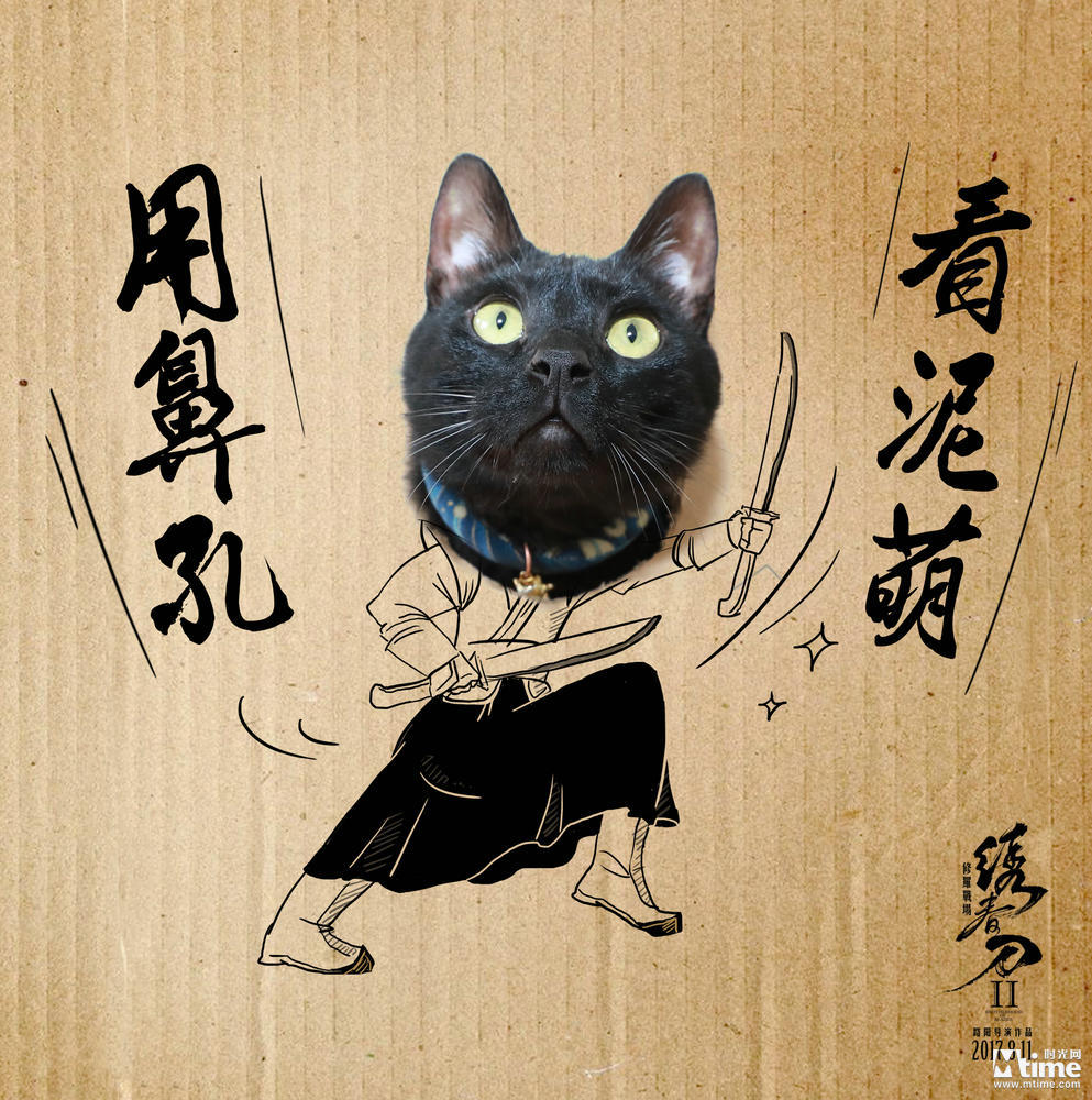 《绣春刀·修罗战场》黑猫竟成网红 “锦衣喵”与张震飚戏 (图1)