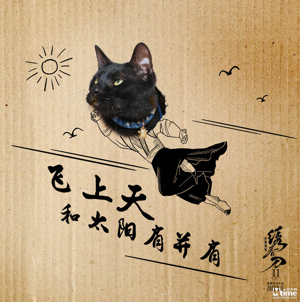 《绣春刀·修罗战场》黑猫竟成网红 “锦衣喵”与张震飚戏 (图3)