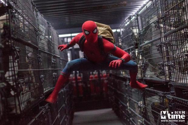 《新蜘蛛侠》先期评价烂番茄好评97% 高居漫威电影宇宙榜首(图2)