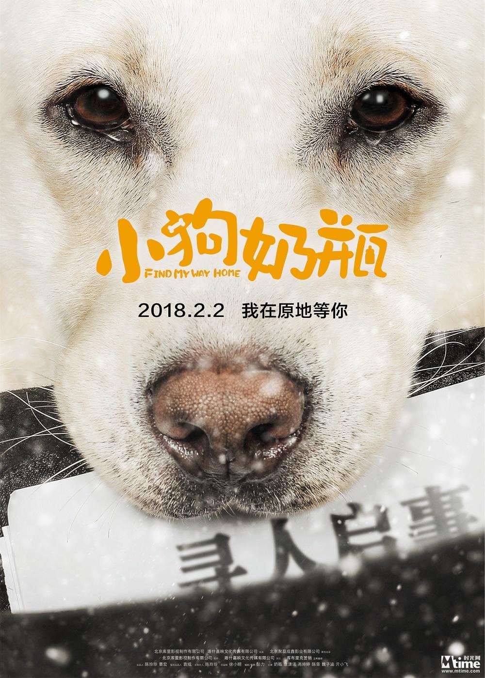 萌宠电影《小狗奶瓶》定档2月2日 预告海报首发(图1)