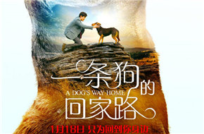 《一条狗的使命》姊妹篇定档1月18日 《一条狗的回家路》发定档海报 
