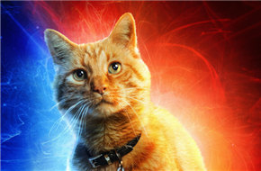 ＂惊奇队长＂新角色海报揭秘重要角色 爱宠小猫咪隆重登场！