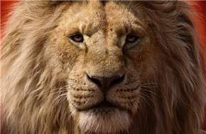 ＂狮子王＂曝角色海报 首个电视预告发布