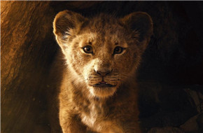 ＂娜娜＂碧昂斯唱《狮子王》经典情歌 迪士尼真狮版新预告