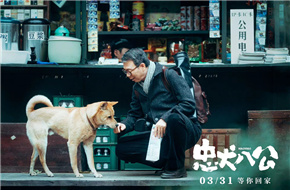 中国版《忠犬八公》定档3月31日 再现狗狗感动全球数亿人的故事